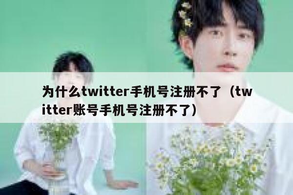 为什么twitter手机号注册不了（twitter账号手机号注册不了） 第1张