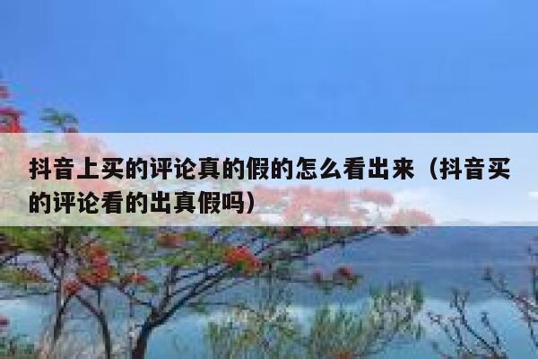 抖音上买的评论真的假的怎么看出来（抖音买的评论看的出真假吗） 第1张