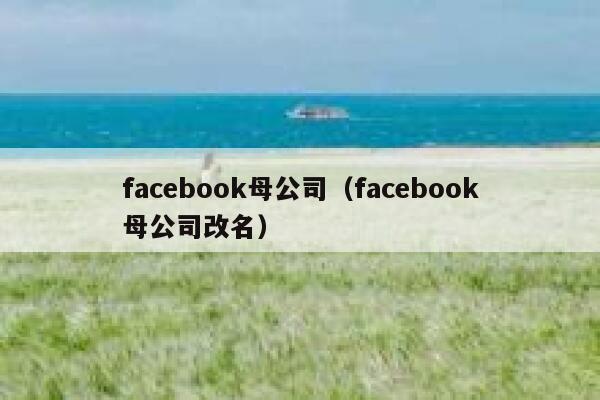 facebook母公司（facebook母公司改名） 第1张