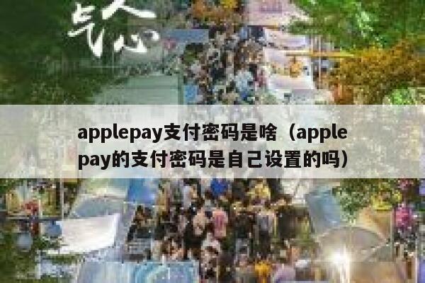 applepay支付密码是啥（applepay的支付密码是自己设置的吗） 第1张