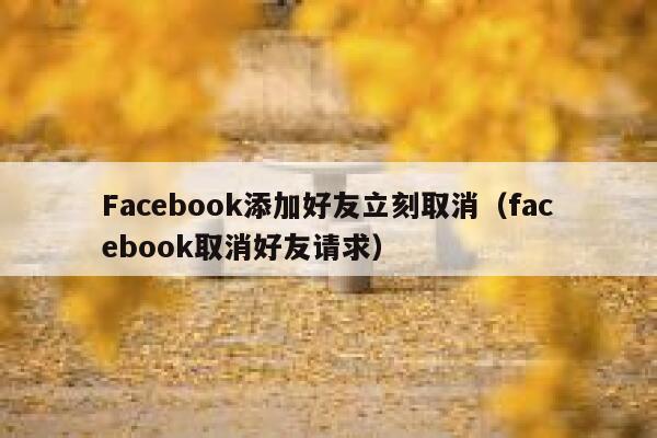 Facebook添加好友立刻取消（facebook取消好友请求） 第1张