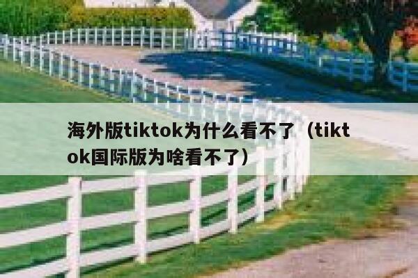 海外版tiktok为什么看不了（tiktok国际版为啥看不了） 第1张