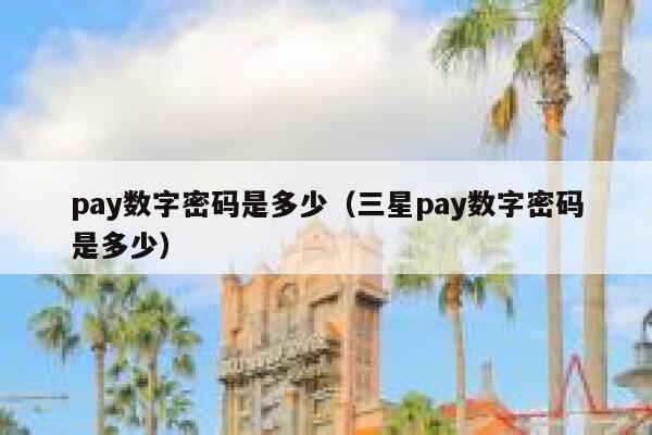 pay数字密码是多少（三星pay数字密码是多少） 第1张