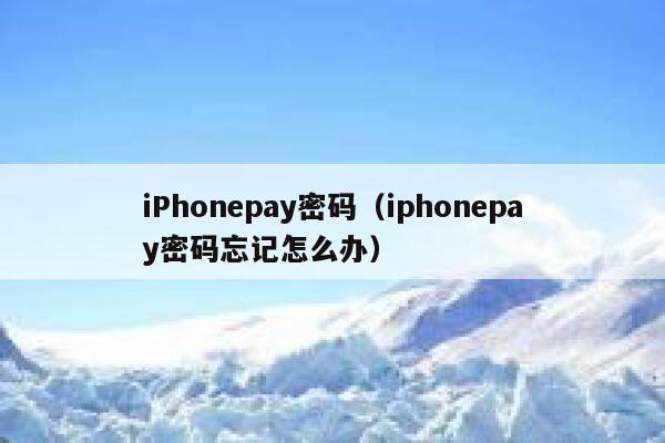 iPhonepay密码（iphonepay密码忘记怎么办） 第1张
