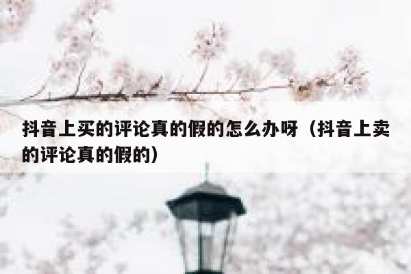 抖音上买的评论真的假的怎么办呀（抖音上卖的评论真的假的） 第1张