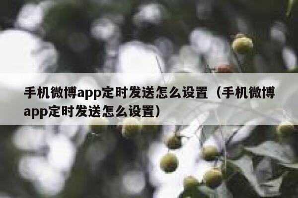 手机微博app定时发送怎么设置（手机微博app定时发送怎么设置） 第1张