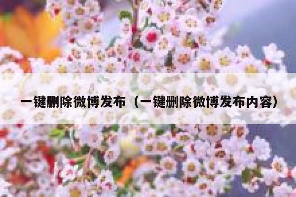 一键删除微博发布（一键删除微博发布内容） 第1张
