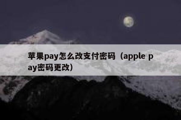 苹果pay怎么改支付密码（apple pay密码更改） 第1张