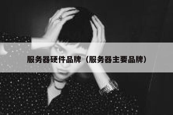 服务器硬件品牌（服务器主要品牌） 第1张