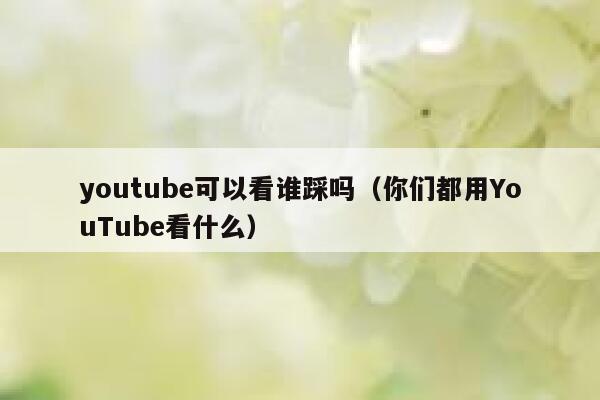 youtube可以看谁踩吗（你们都用YouTube看什么） 第1张