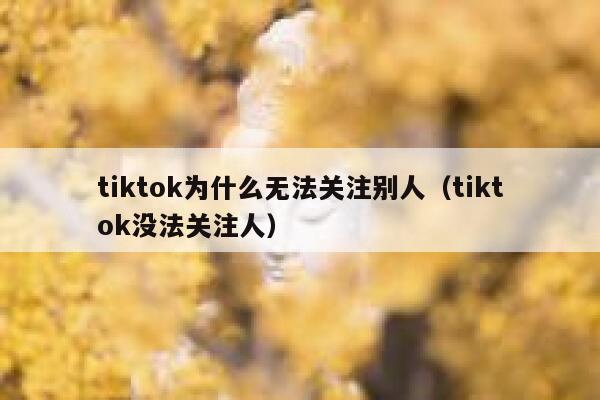 tiktok为什么无法关注别人（tiktok没法关注人） 第1张