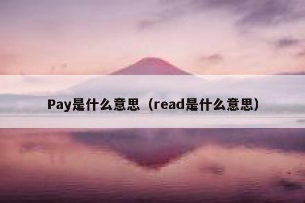 Pay是什么意思（read是什么意思） 第1张