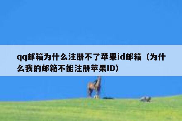 qq邮箱为什么注册不了苹果id邮箱（为什么我的邮箱不能注册苹果ID） 第1张