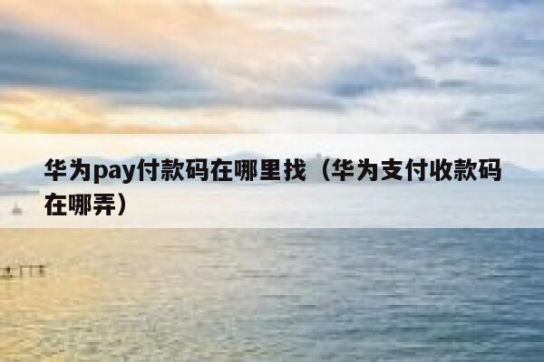 华为pay付款码在哪里找（华为支付收款码在哪弄） 第1张