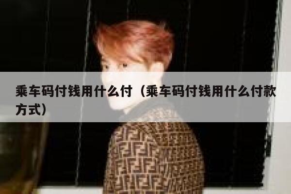 乘车码付钱用什么付(乘车码付钱用什么付款方式) 第1张 乘车码付钱用什么付(乘车码付钱用什么付款方式) 第1张