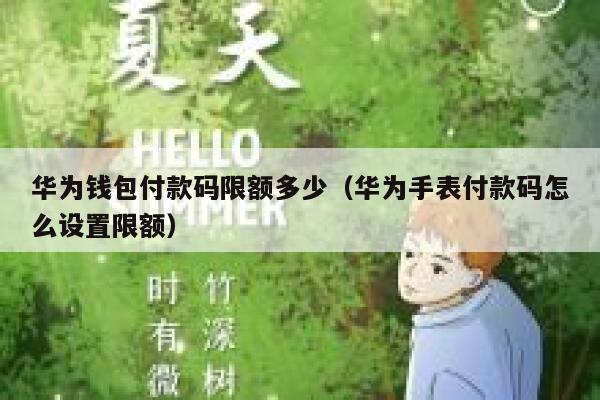 华为钱包付款码限额多少(华为手表付款码怎么设置限额) 第1张 华为钱包付款码限额多少(华为手表付款码怎么设置限额) 第1张