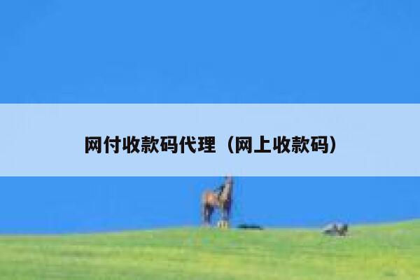 网付收款码代理（网上收款码） 第1张