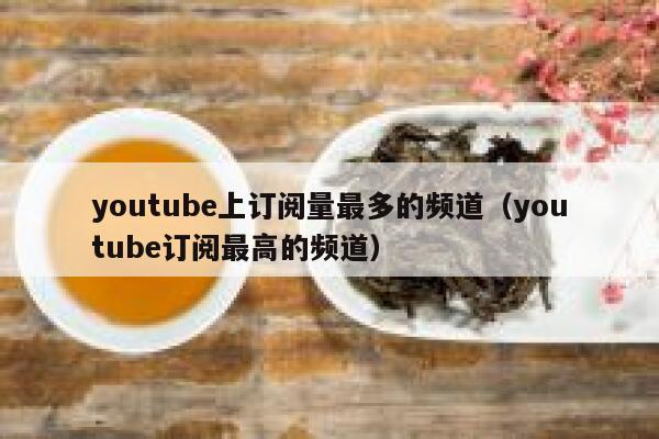 youtube上订阅量最多的频道（youtube订阅最高的频道） 第1张
