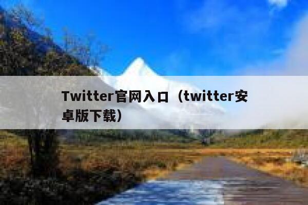 Twitter官网入口（twitter安卓版下载） 第1张