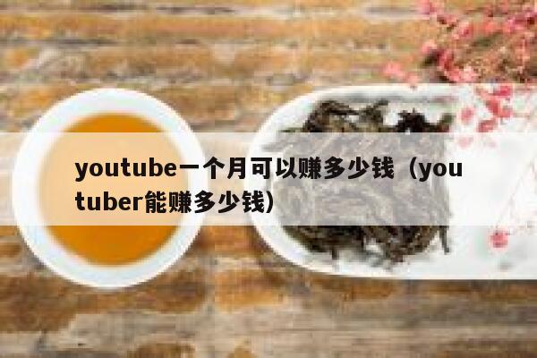 youtube一个月可以赚多少钱(youtuber能赚多少钱) 第1张 youtube一个月可以赚多少钱(youtuber能赚多少钱) 第1张