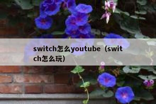 switch怎么youtube（switch怎么玩） 第1张