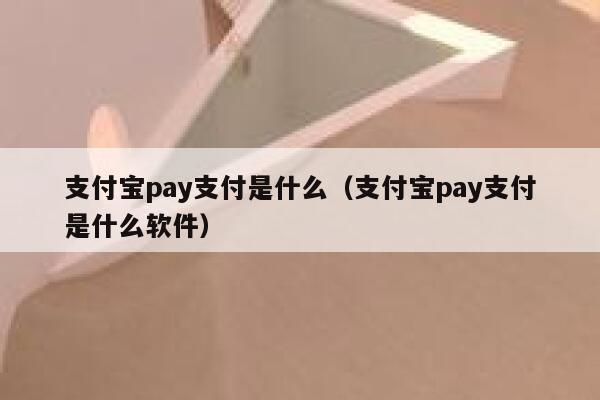 支付宝pay支付是什么（支付宝pay支付是什么软件） 第1张
