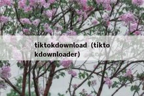 tiktokdownload（tiktokdownloader） 第1张