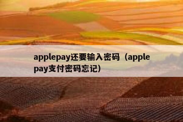 applepay还要输入密码（applepay支付密码忘记） 第1张