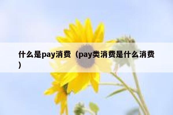 什么是pay消费(pay类消费是什么消费) 第1张 什么是pay消费(pay类消费是什么消费) 第1张