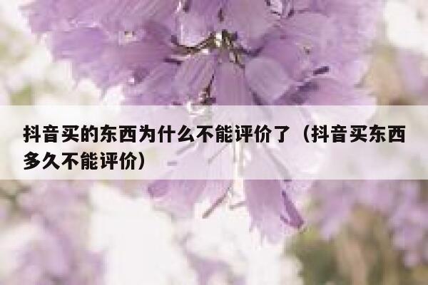 抖音买的东西为什么不能评价了（抖音买东西多久不能评价） 第1张