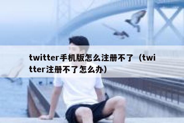 twitter手机版怎么注册不了（twitter注册不了怎么办） 第1张