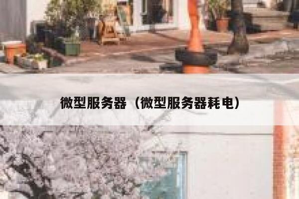 微型服务器（微型服务器耗电） 第1张