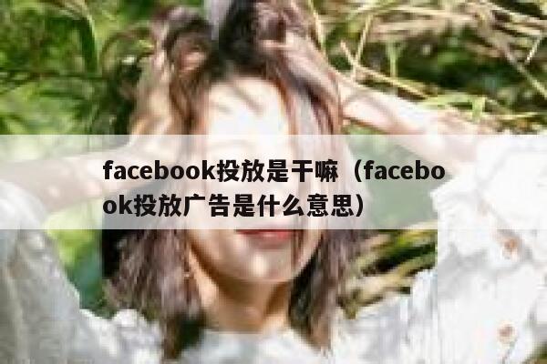 facebook投放是干嘛（facebook投放广告是什么意思） 第1张