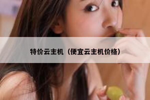 特价云主机（便宜云主机价格） 第1张