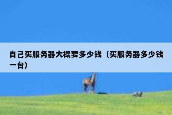 自己买服务器大概要多少钱（买服务器多少钱一台） 第1张