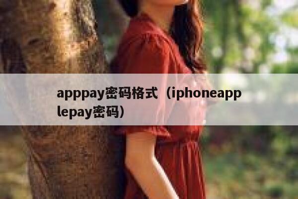 apppay密码格式（iphoneapplepay密码） 第1张