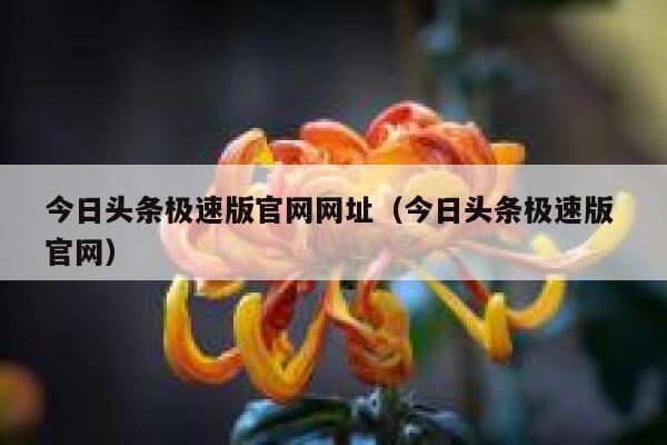今日头条极速版官网网址（今日头条极速版 官网） 第1张