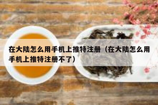 在大陆怎么用手机上推特注册（在大陆怎么用手机上推特注册不了） 第1张