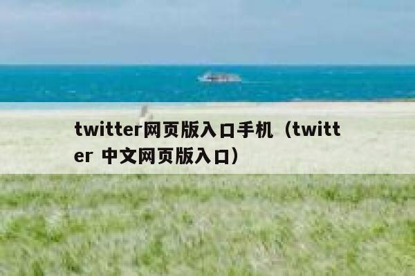 twitter网页版入口手机（twitter 中文网页版入口） 第1张
