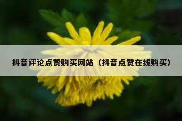 抖音评论点赞购买网站（抖音点赞在线购买） 第1张