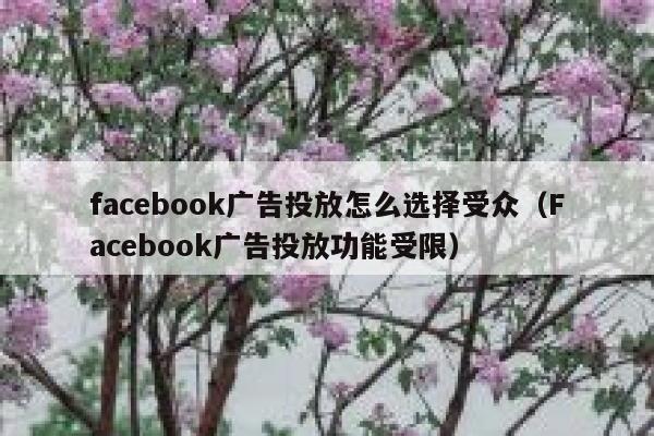 facebook广告投放怎么选择受众（Facebook广告投放功能受限） 第1张