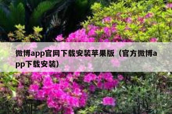 微博app官网下载安装苹果版（官方微博app下载安装） 第1张