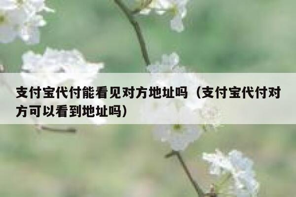 支付宝代付能看见对方地址吗（支付宝代付对方可以看到地址吗） 第1张