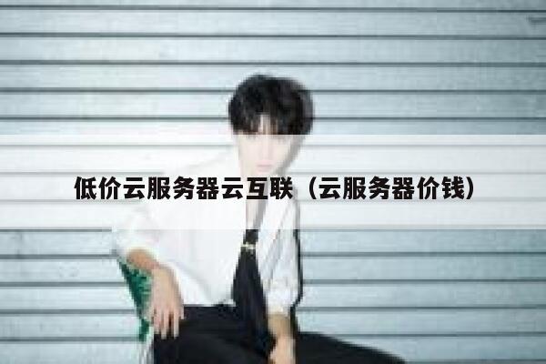 低价云服务器云互联（云服务器价钱） 第1张