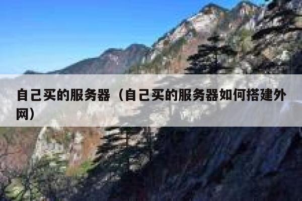 自己买的服务器（自己买的服务器如何搭建外网） 第1张
