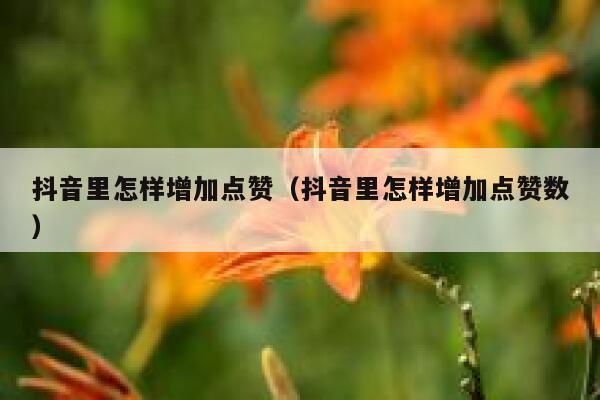 抖音里怎样增加点赞（抖音里怎样增加点赞数） 第1张
