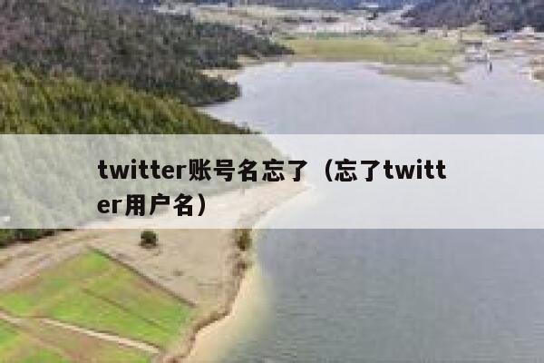 twitter账号名忘了(忘了twitter用户名) 第1张 twitter账号名忘了(忘了twitter用户名) 第1张