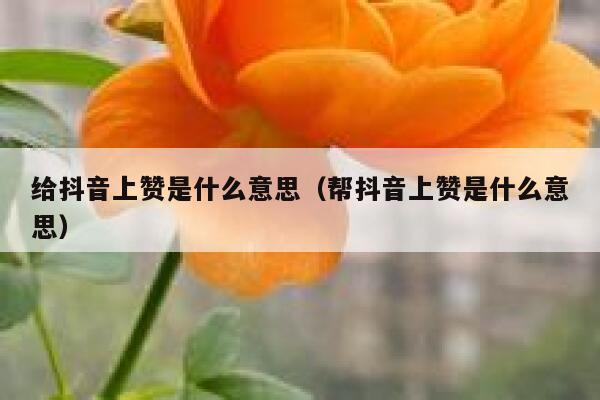 给抖音上赞是什么意思（帮抖音上赞是什么意思） 第1张