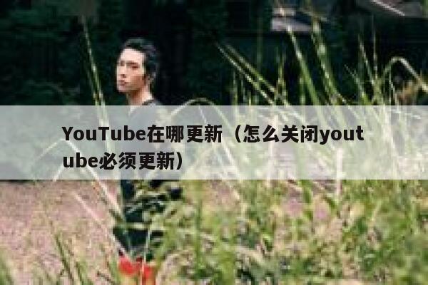 YouTube在哪更新（怎么关闭youtube必须更新） 第1张
