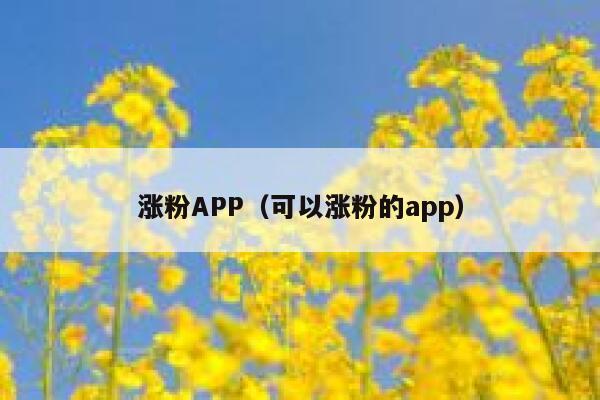 涨粉APP（可以涨粉的app） 第1张
